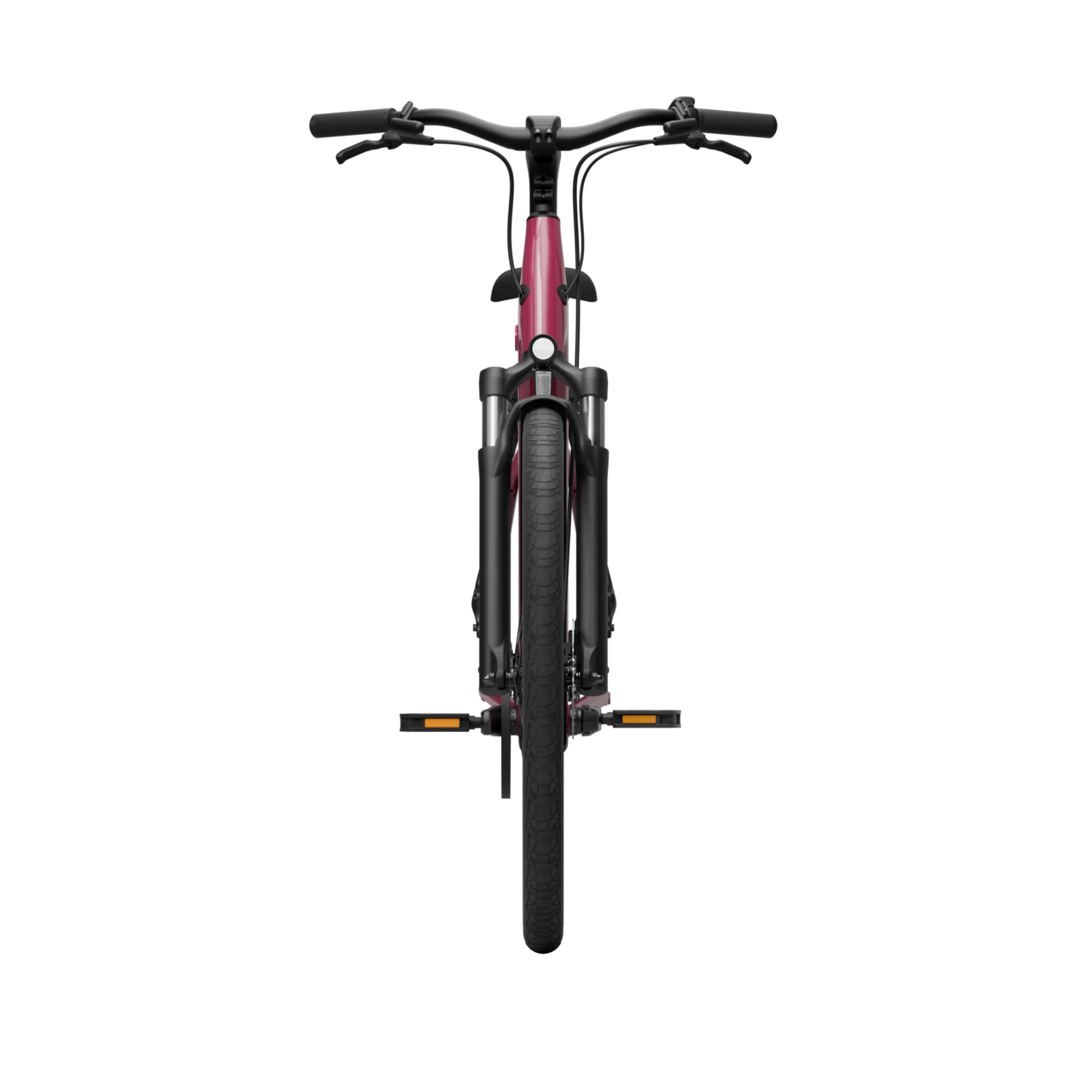 Electric bicycle TENWAYS CGO800S, Wild Berry product image